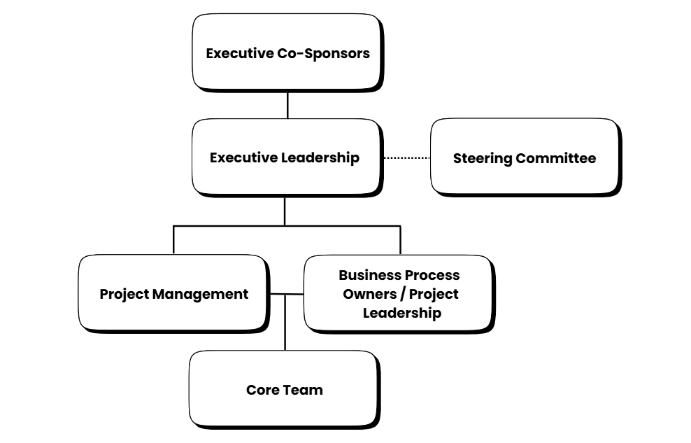 project governance diagram