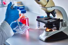 Science experiment being done with a pipet in front of a microscope in a lab