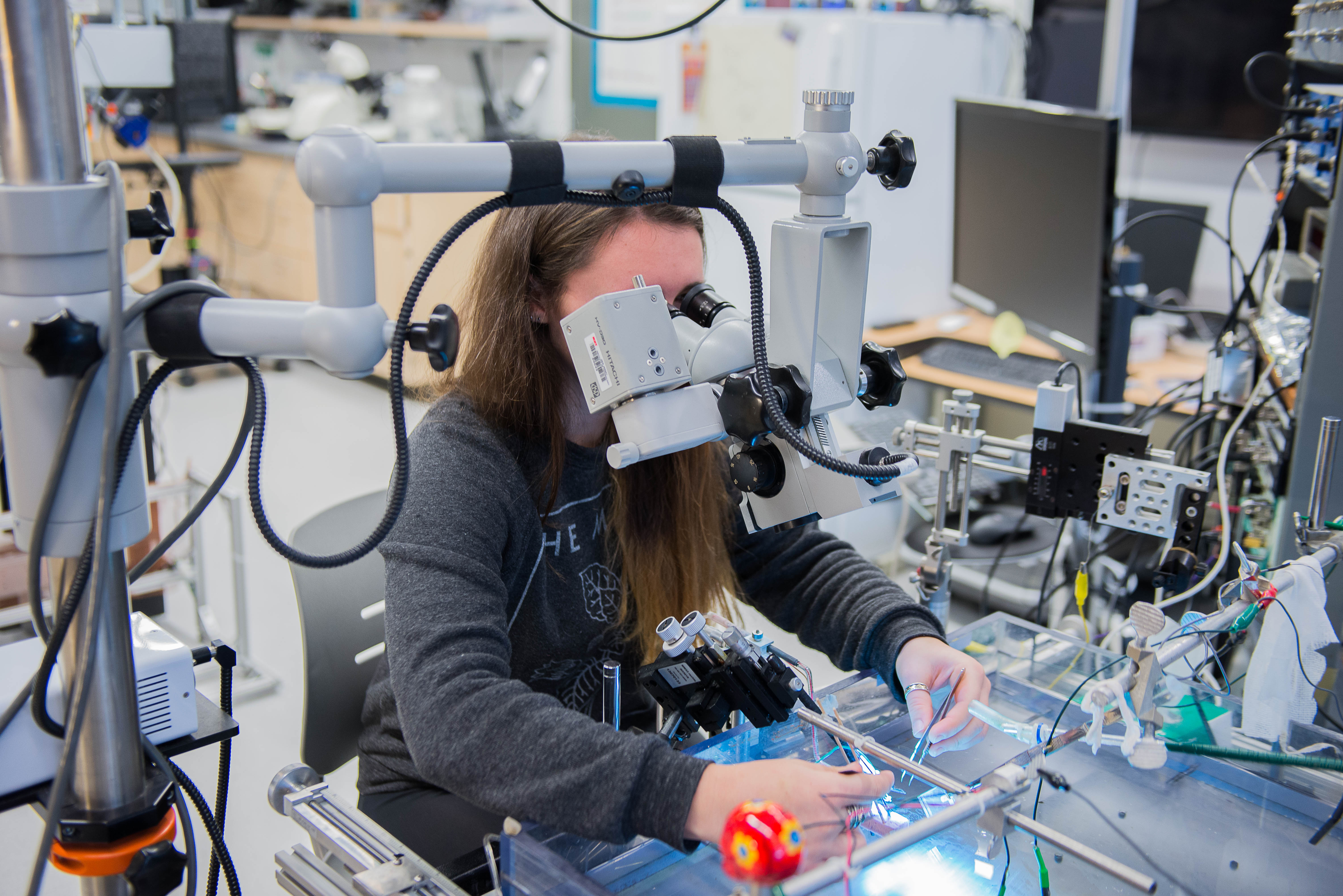 Student in Biology Laboratory