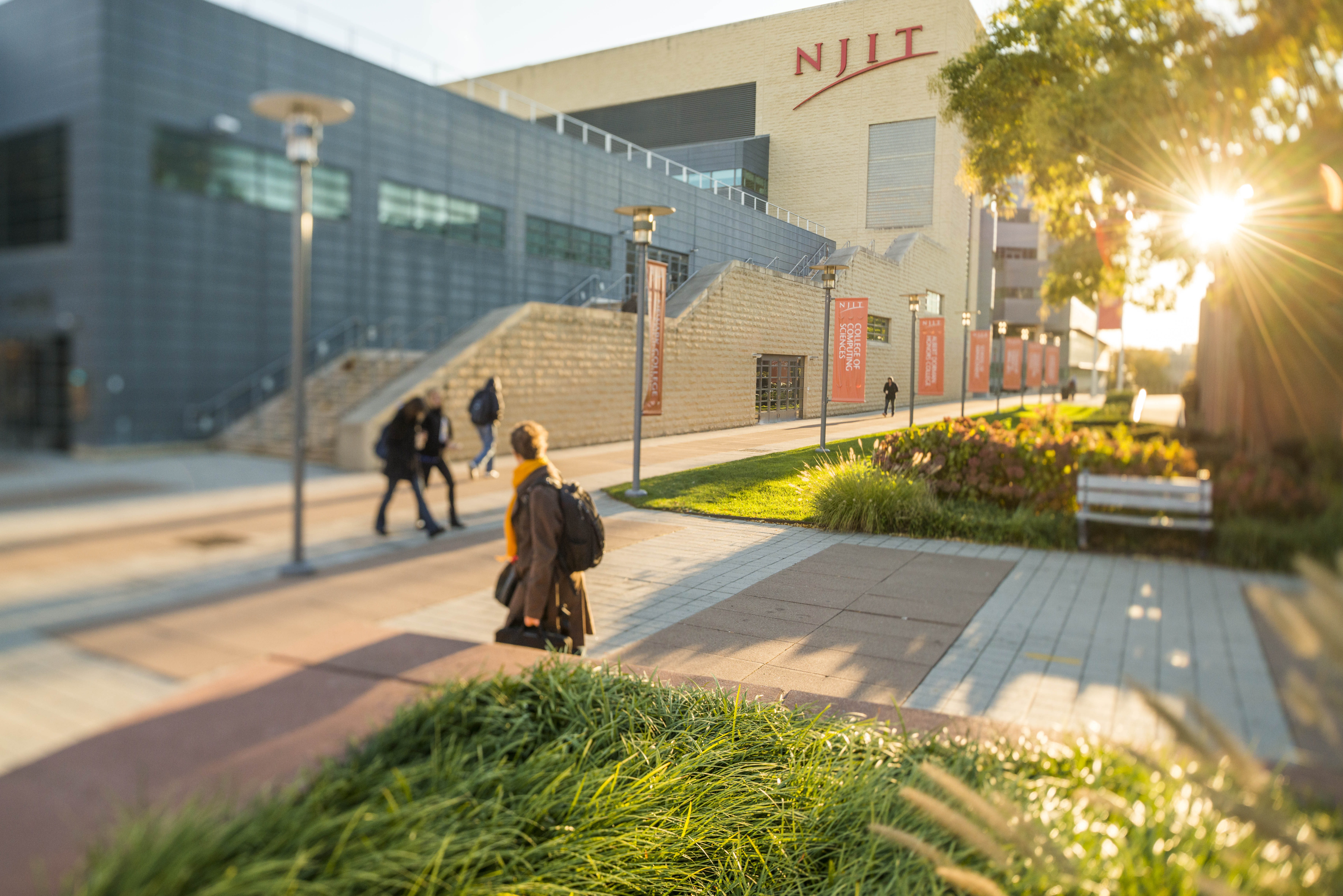 Campus in the Sunlight