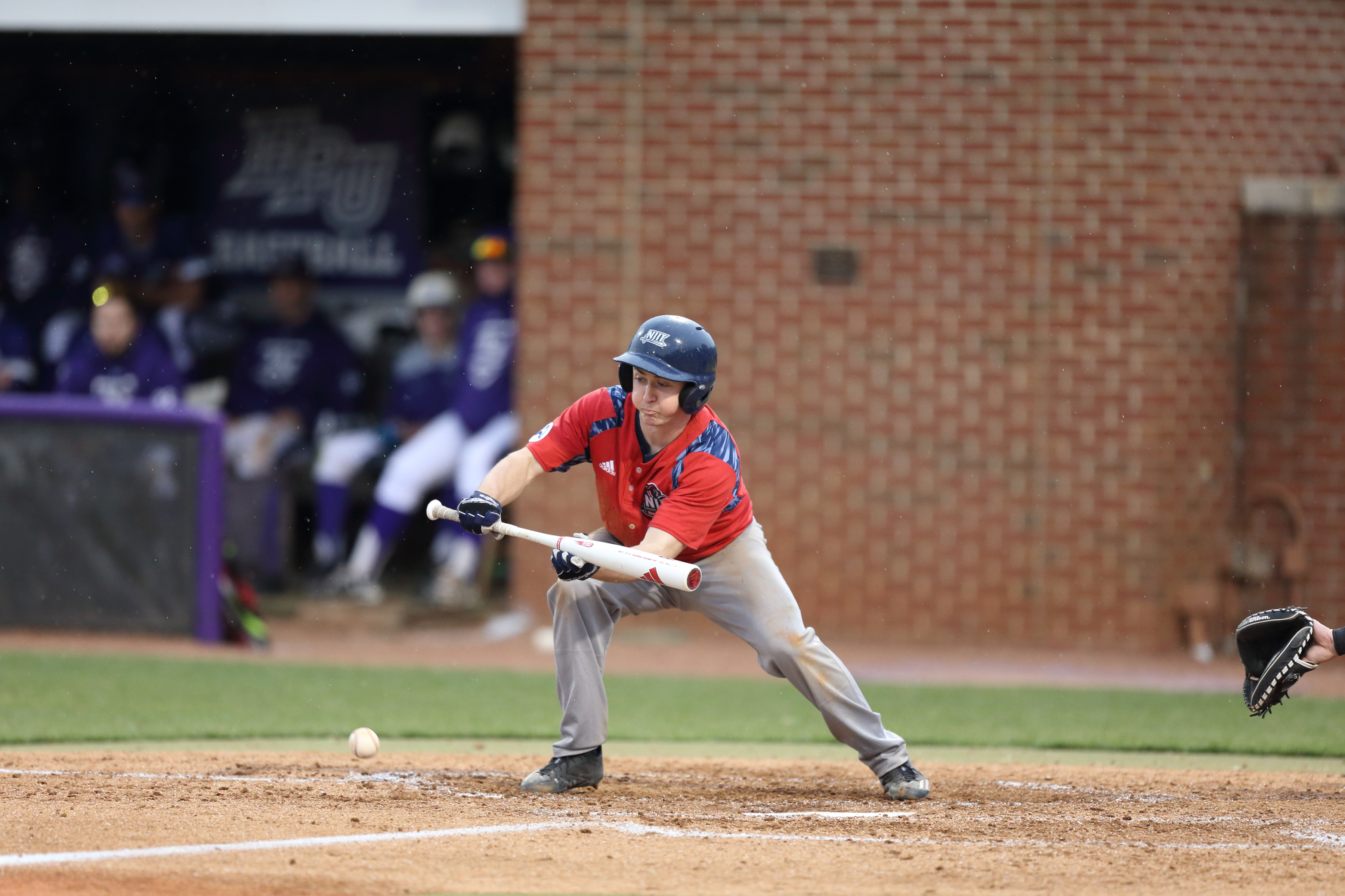 Thomas Brady - Baseball - New Jersey Institute of Technology Athletics