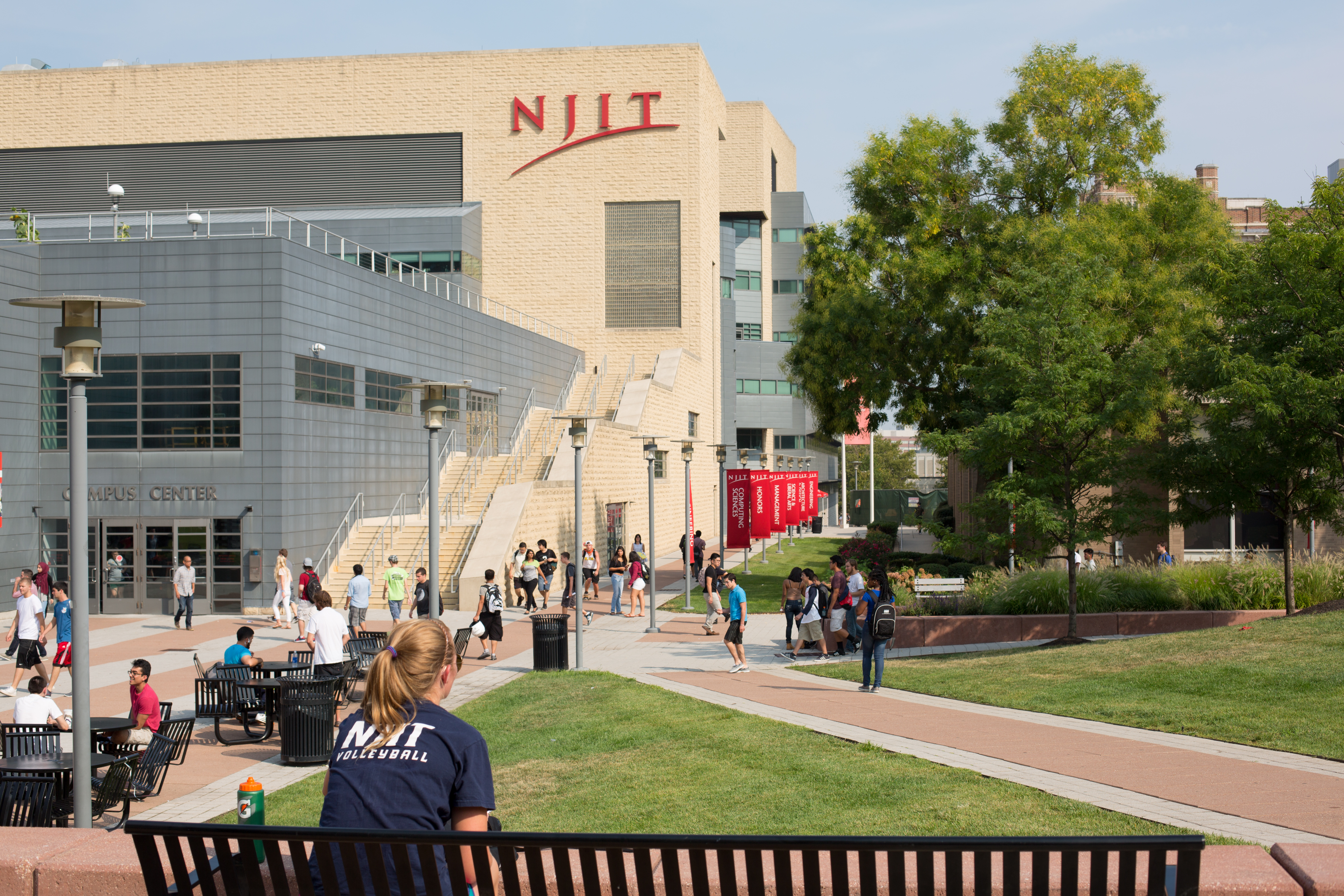 A Tree-lined Campus